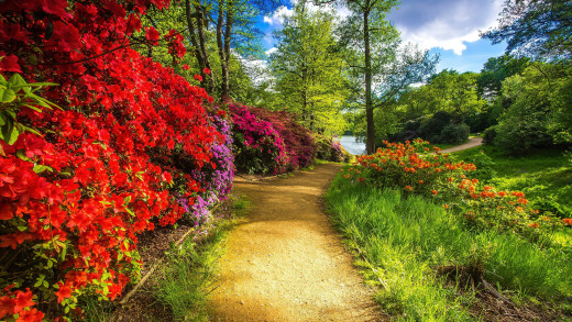 1741818 (a): :2560x1440